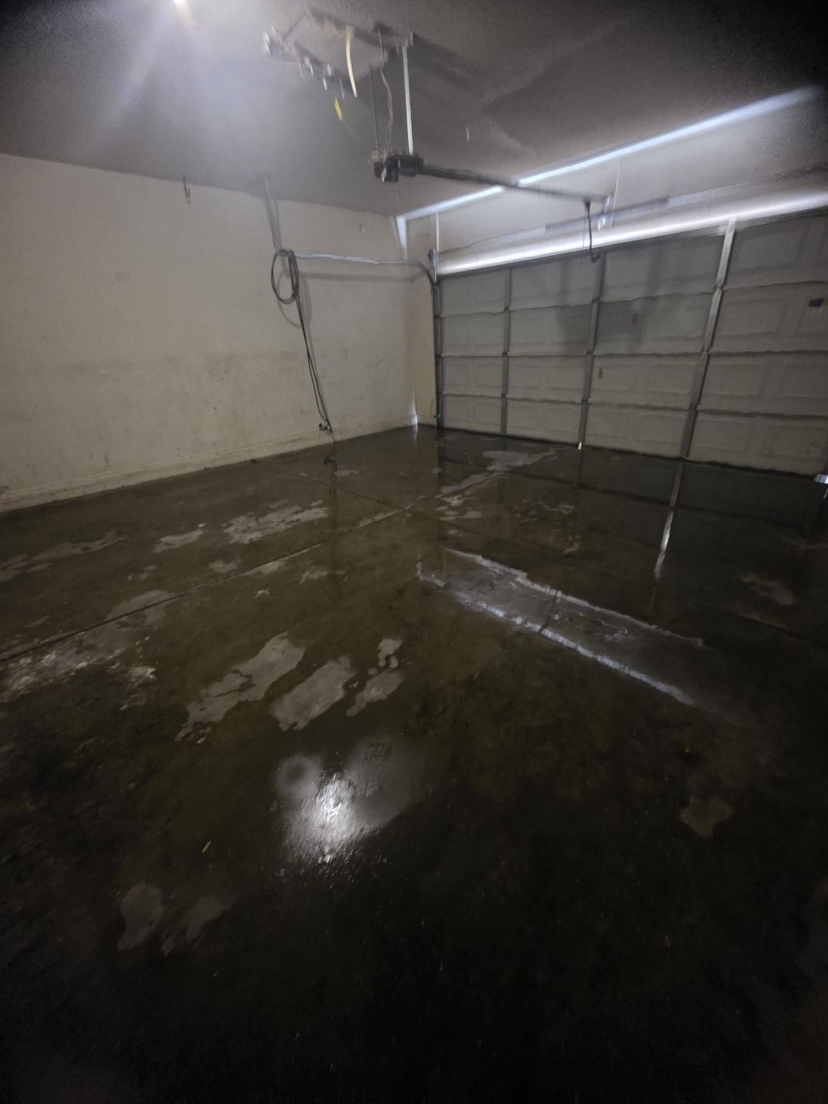 1206 E. Sunland Ave, Phoenix, foto 11